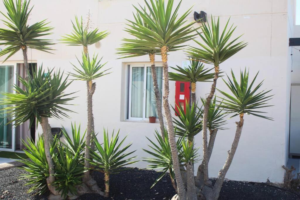 Pachi Beach Alisios Playa Corralejo Eksteriør bilde
