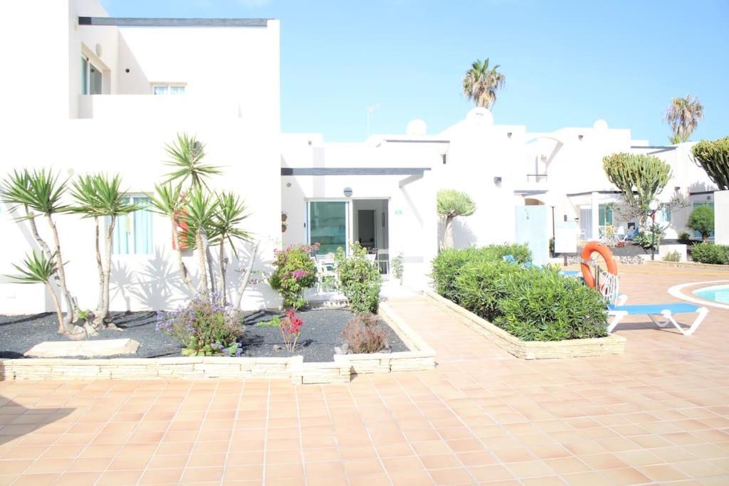 Pachi Beach Alisios Playa Corralejo Eksteriør bilde